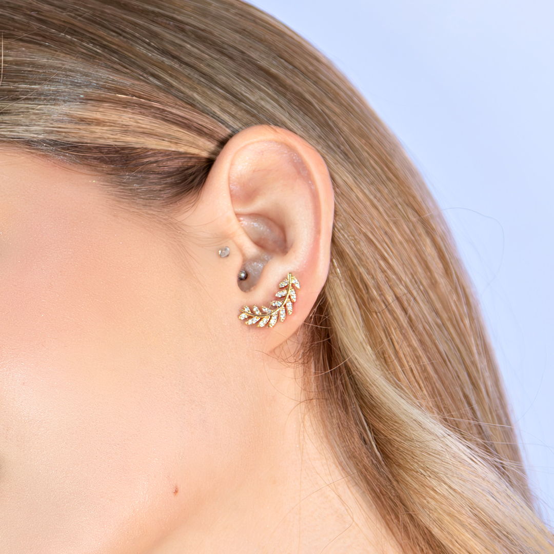 Brinco Folha Curvado Cravejado Banhado