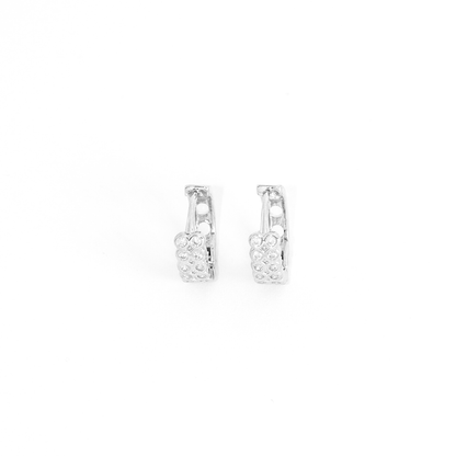 Brinco Argola Duplo Cravejado Banhado A Prata