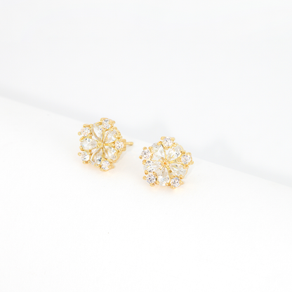 Conjunto Flor de Luz Cravejado Banhado